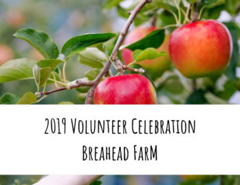 image of apple picking with words "2019 volunteer celebration Breahead farm"