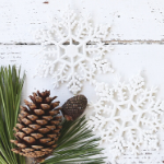 Copy of Give hope. Give knowledge. Give a helping hand. Give a Gift That Gives Back holday snowflakes and pinecones