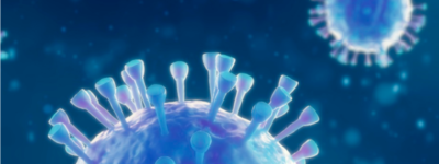 image of virus cells